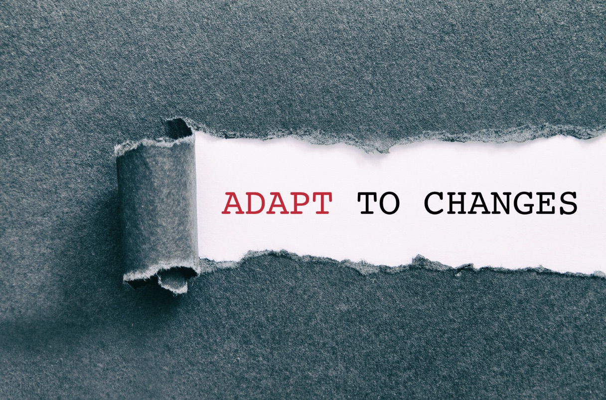 Adapt to marketing environment Adapt to marketing environment