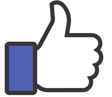 Facebook Like Icon