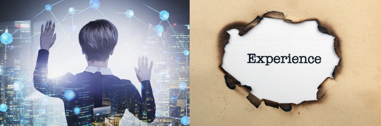 An Immersive Experience An Immersive Experience